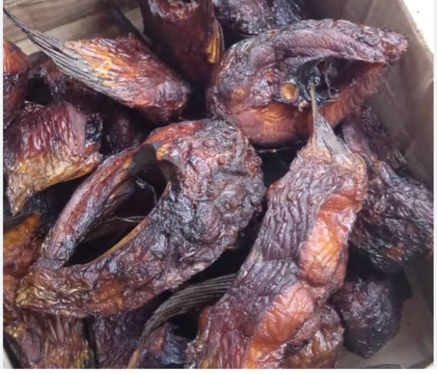 Smoked mangala fish ready for export packaging