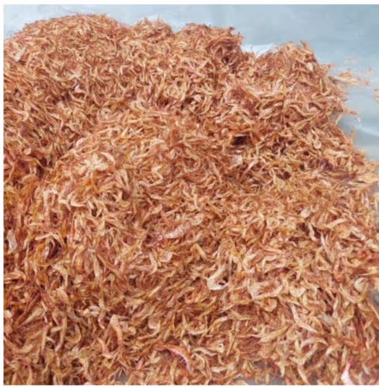 Clean dried Oron crayfish ready for export